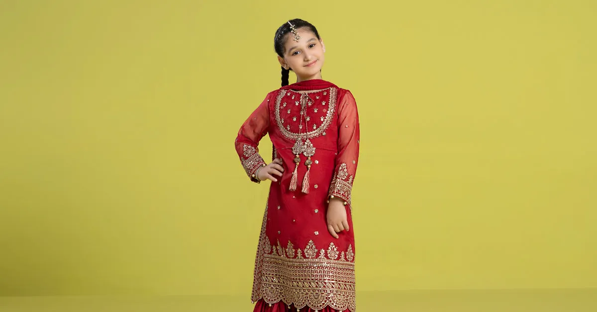 3 Piece Embroidered Organza Suit | MKS-EF24-37