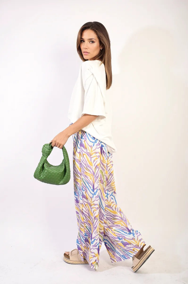 Pleated Wide Leg And Elastic Waist Trousers